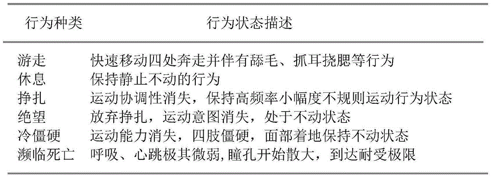 Method for synchronously measuring time allocation and oxygen consumption under simulated environment of low temperature, rain, snow and freezing