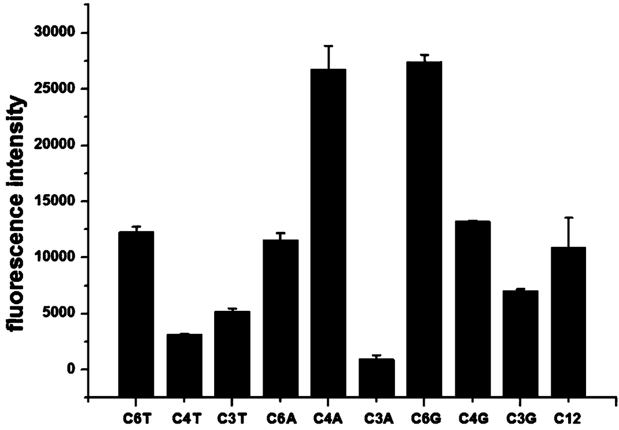 Detecting method for captopril through light emitting silver clusters synthesized by G insertion sequences