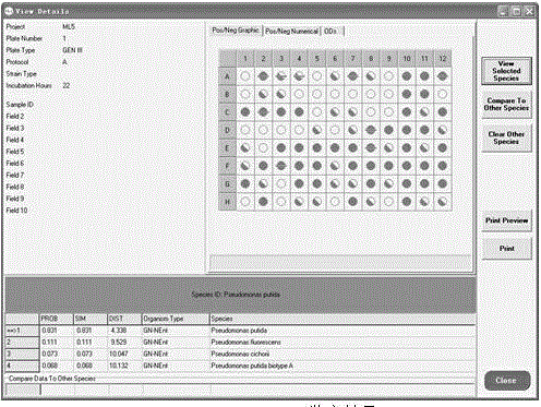 Pseudomonas putida having n-hexylene degradation capacity and application thereof