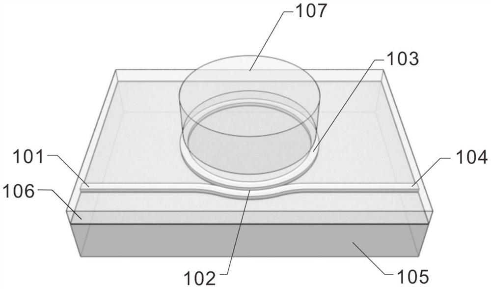 On-chip solid laser of optical pump