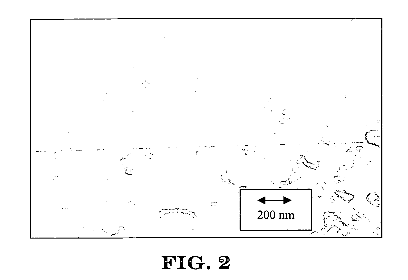 Nanotube-containing composite bodies, and methods for making same