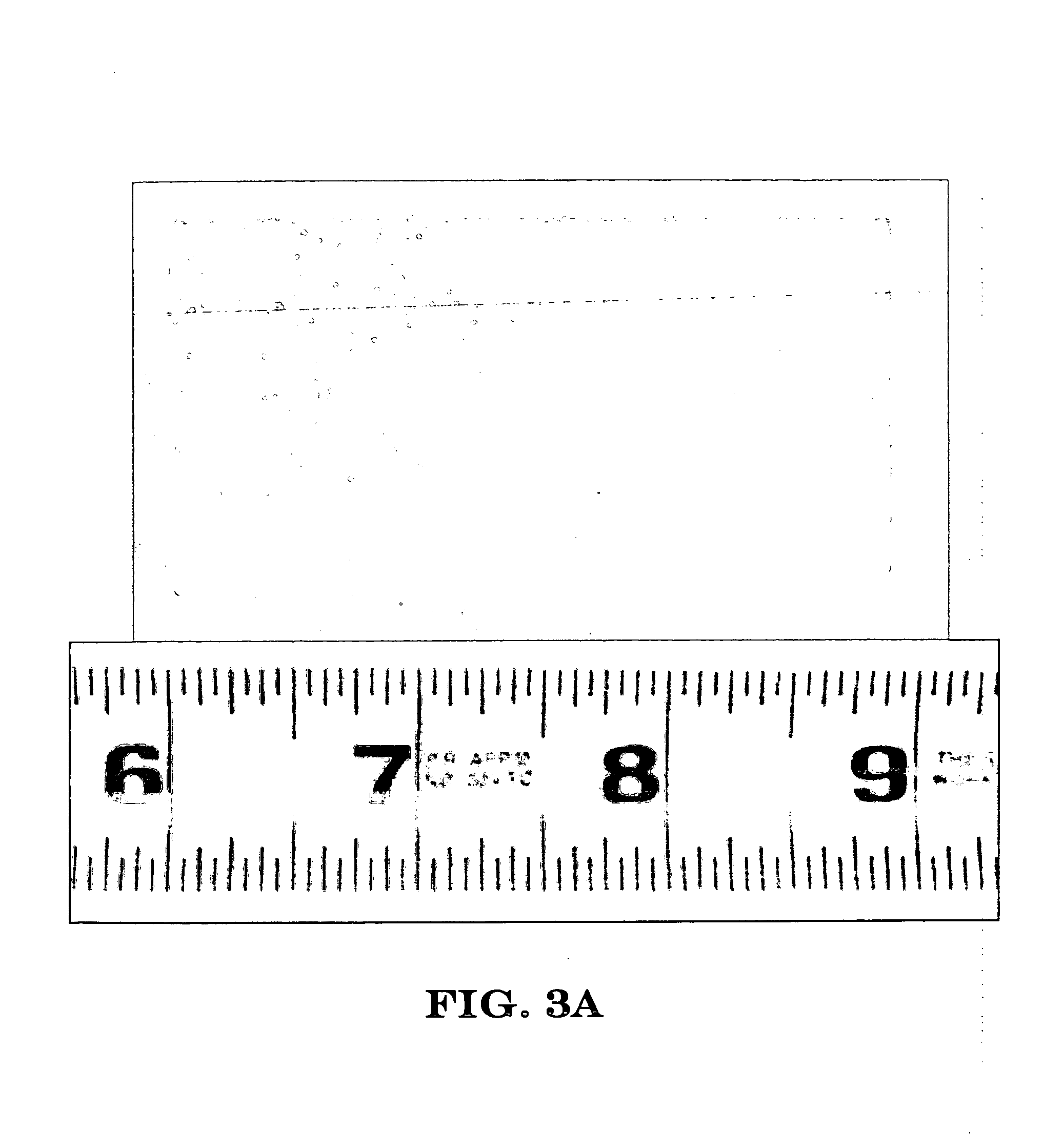 Nanotube-containing composite bodies, and methods for making same