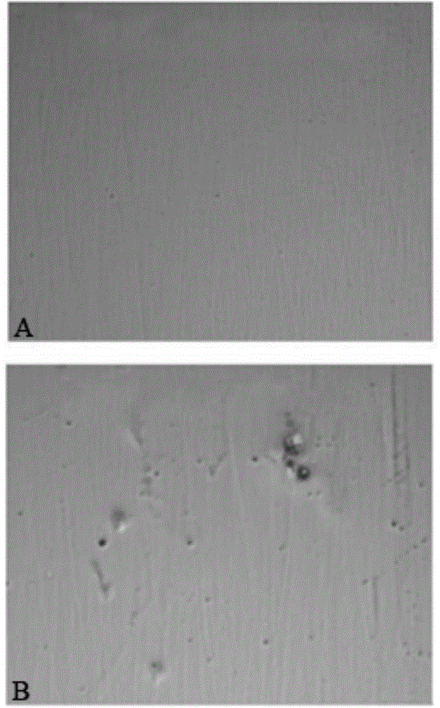 Environmental-friendly energy-saving nano electro nickel-plating technology