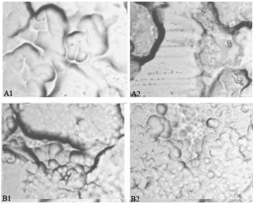 Environmental-friendly energy-saving nano electro nickel-plating technology