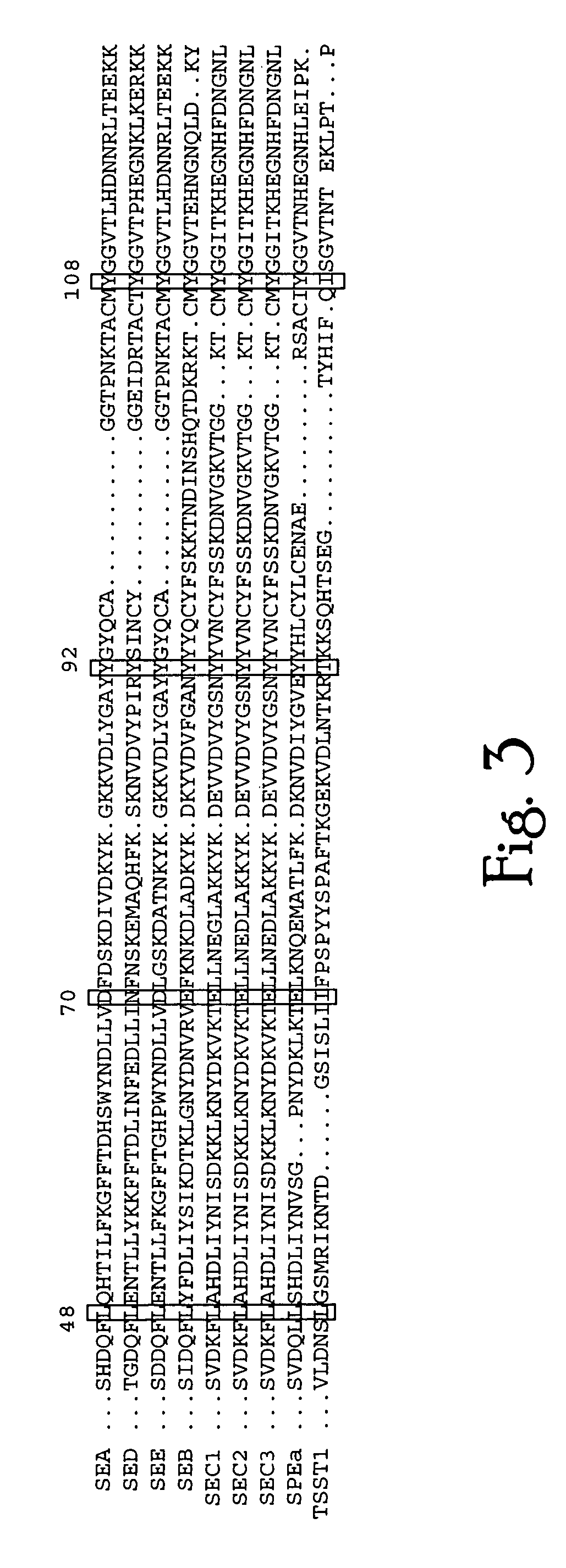 Bacterial superantigen vaccines