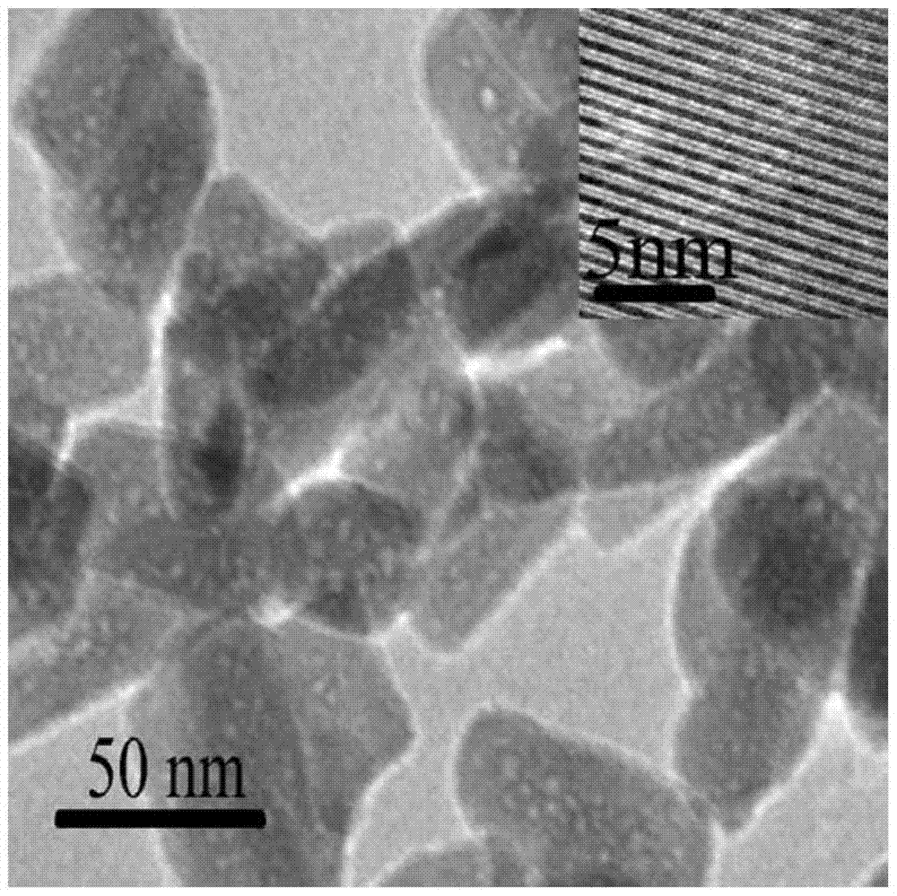 Preparation method of a mesoporous apatite nano drug carrier with pH responsiveness and cell targeting to liver cancer cells