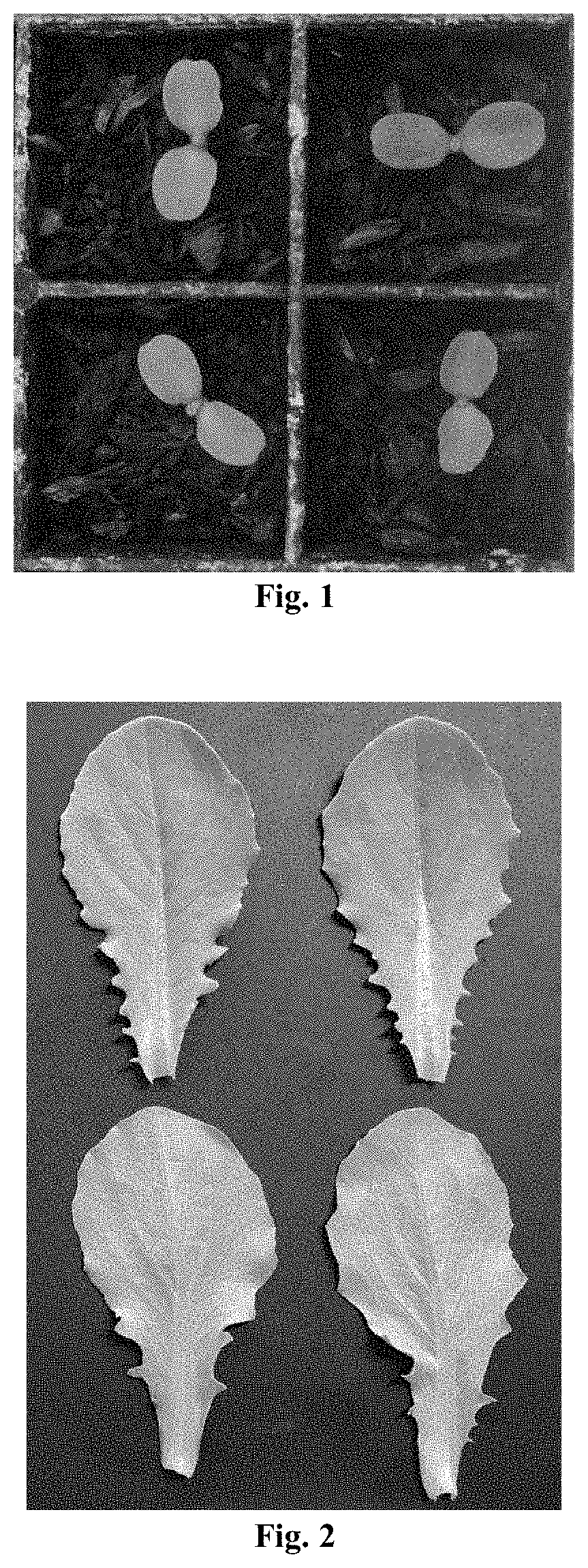 Lactuca sativa cultivar cvx576-1