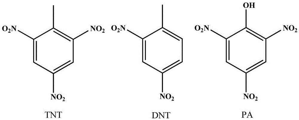 Monolayer fluorescent conjugated polymer film and preparation method thereof