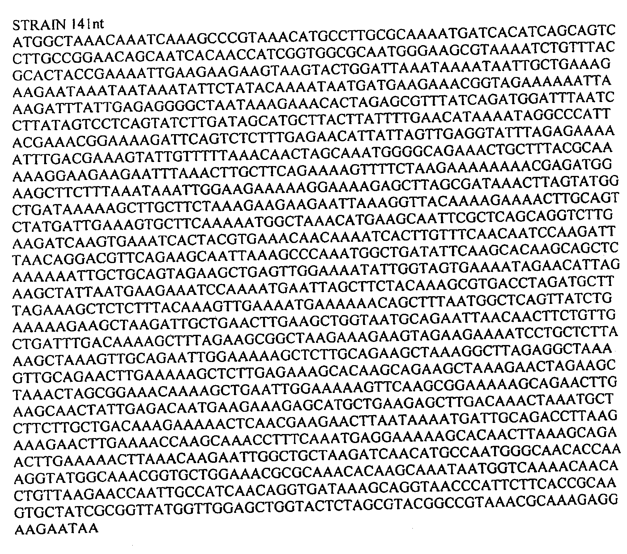 Streptococcus m protein, immunogenic fragments, nucleic acids and methods of use