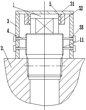 Anti-loose high-pressure oil plug