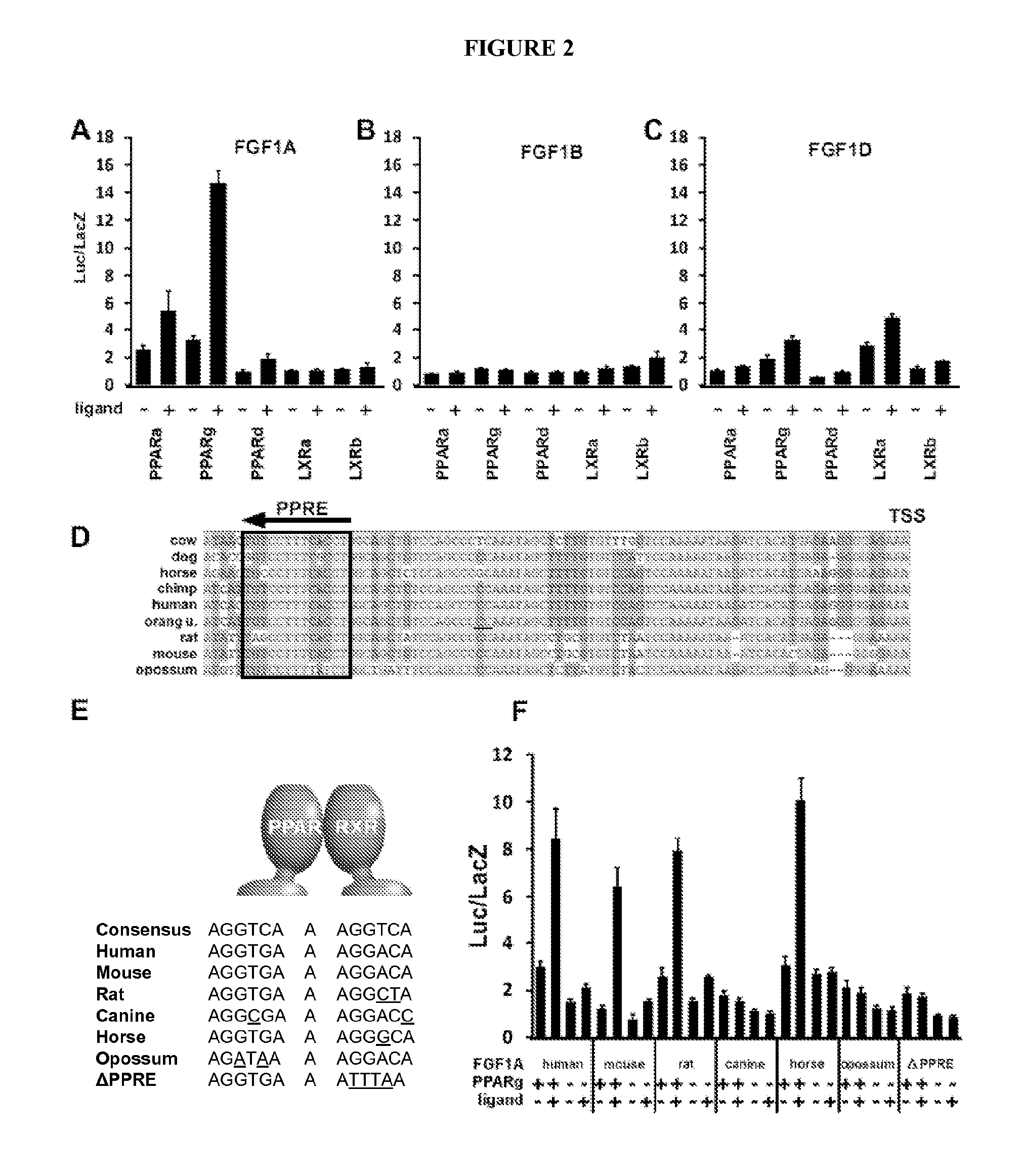 Methods for treating metabolic disorders using fgf