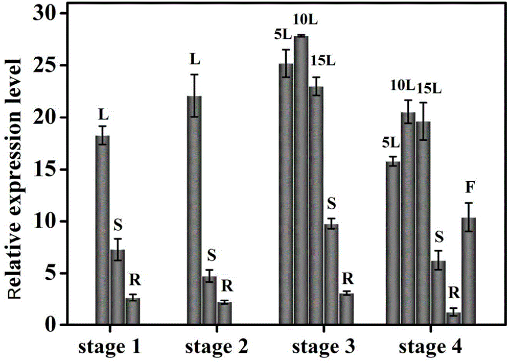 Tobacco carotenoid isomerase gene and is application