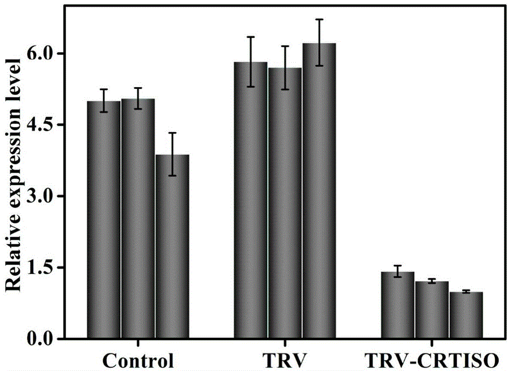 Tobacco carotenoid isomerase gene and is application