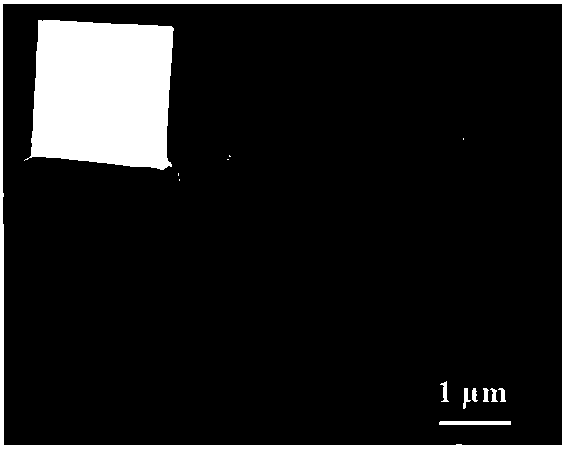 Preparation method of europium-thenoyltrifluoroacetone infinite coordination polymer nanoparticles and film thereof