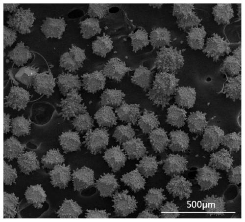 Tungsten-plated diamond particle, tungsten plating method, application of tungsten-plated diamond particle used as copper-based reinforced phase, and obtained diamond/copper composite material