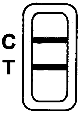 Test strip for detecting HIV antibodies in spittle and preparation method thereof