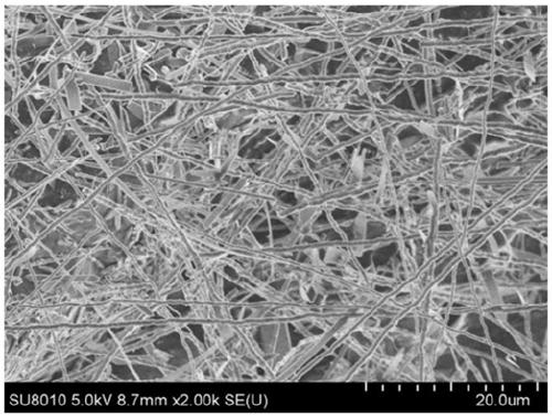 Method for preparing aluminum nitride single crystal whiskers