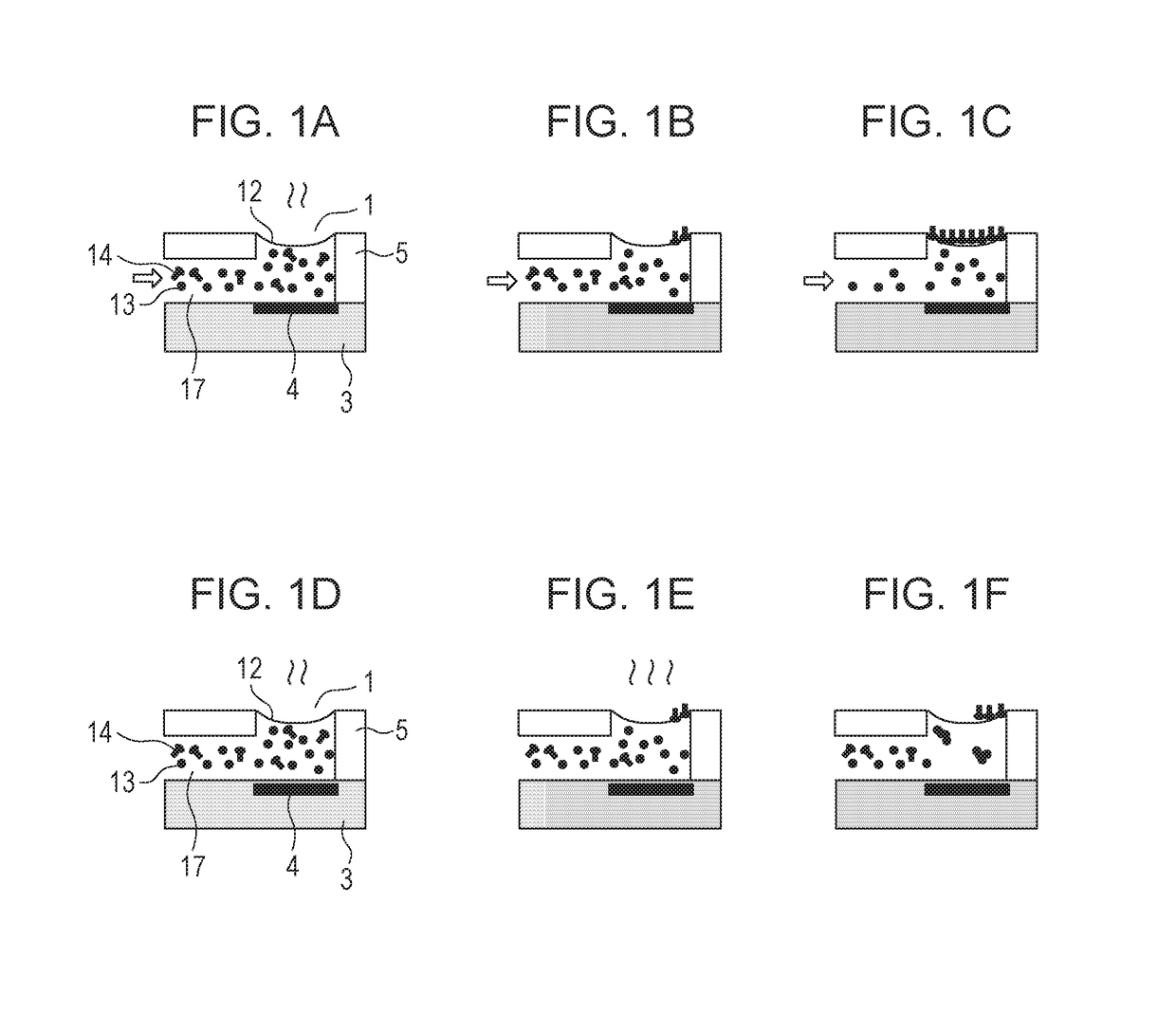 Ink jet recording method, recording head, and ink jet recording apparatus