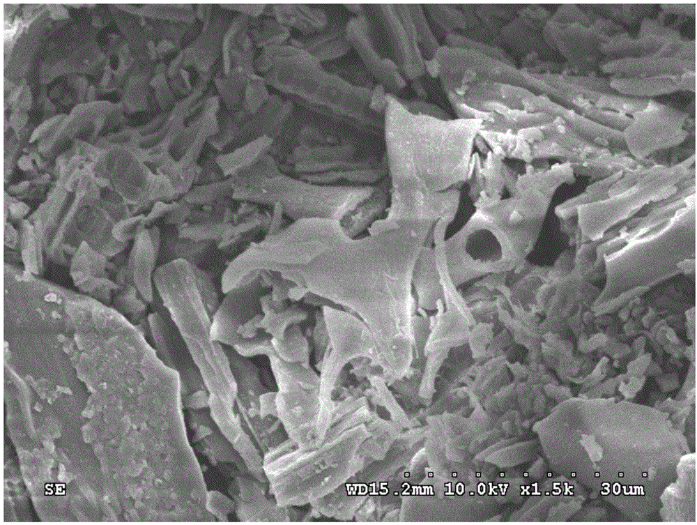 Method for preparing activated carbon with chitosan used as raw material and obtainedactivated carbon