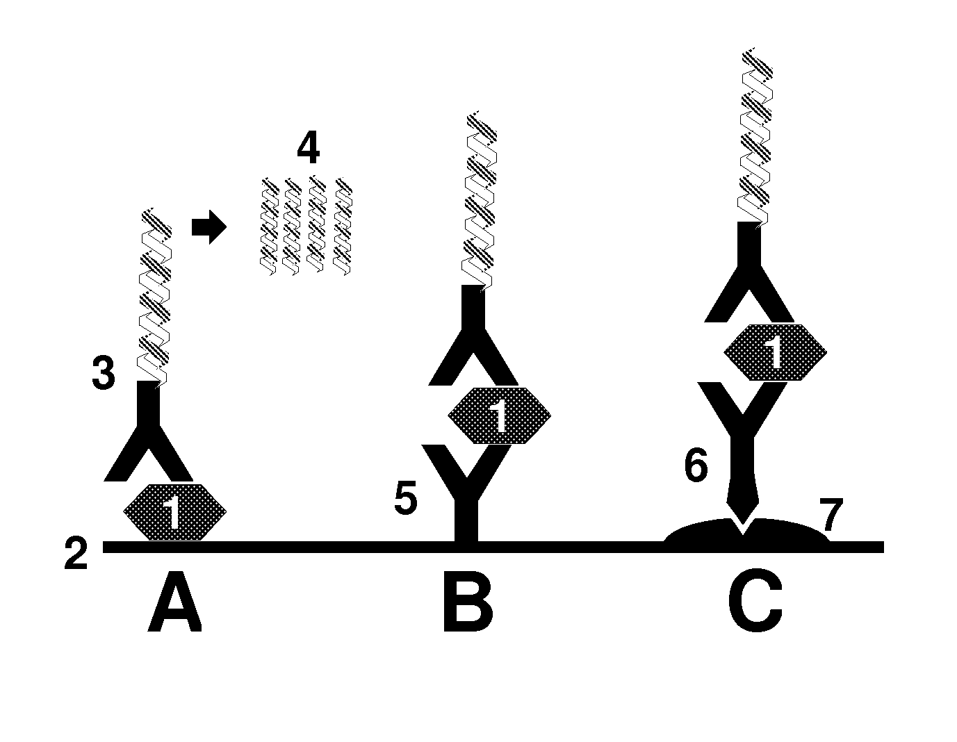 Method for the detection of an analyte in biological matrix