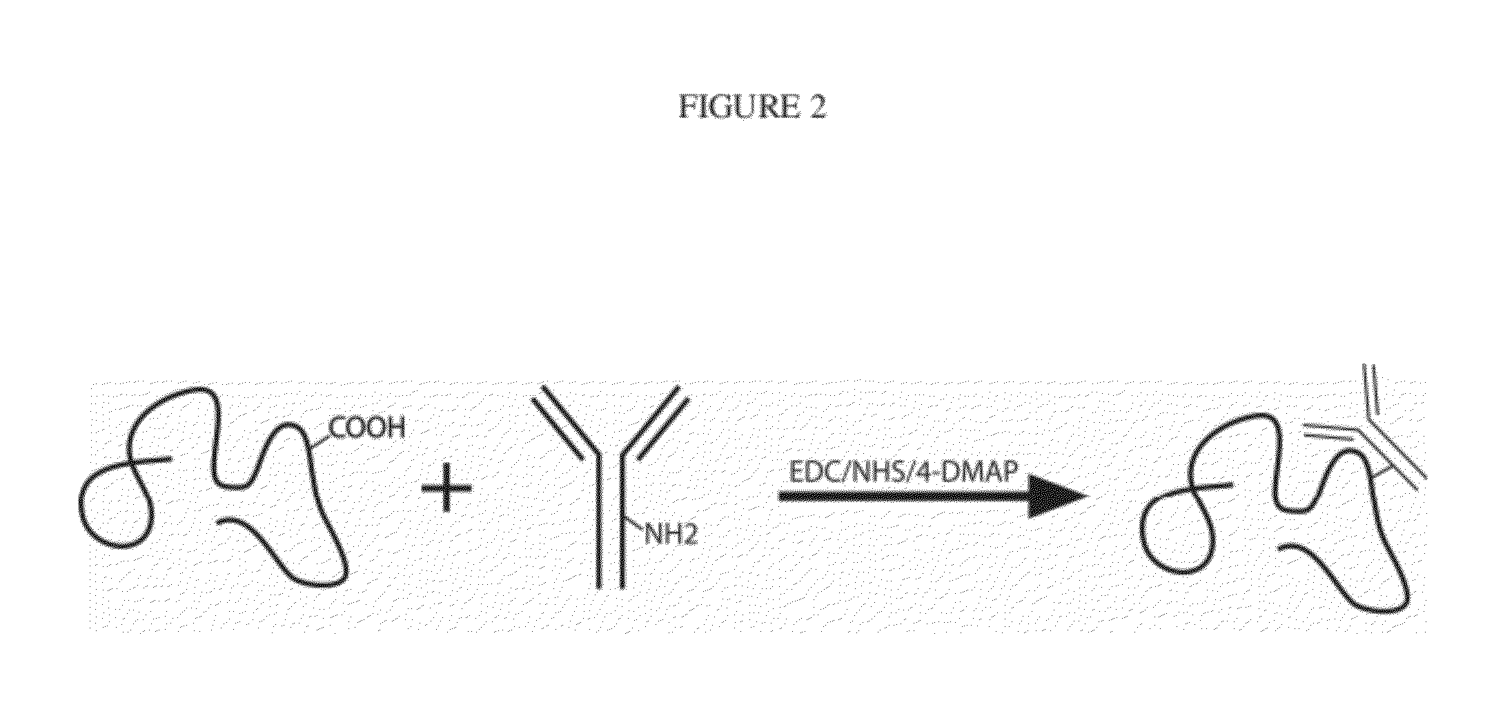 Enhanced Binding of Pro-Inflammatory Cytokines by Polysaccharide-Antibody Conjugates