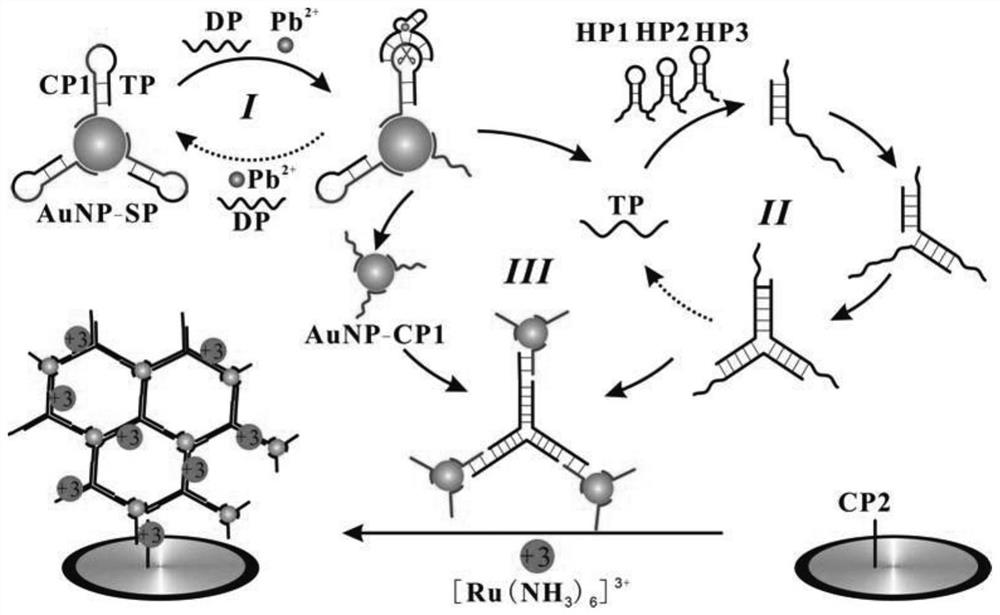 An electrochemical sensor for detecting lead ions and its preparation method