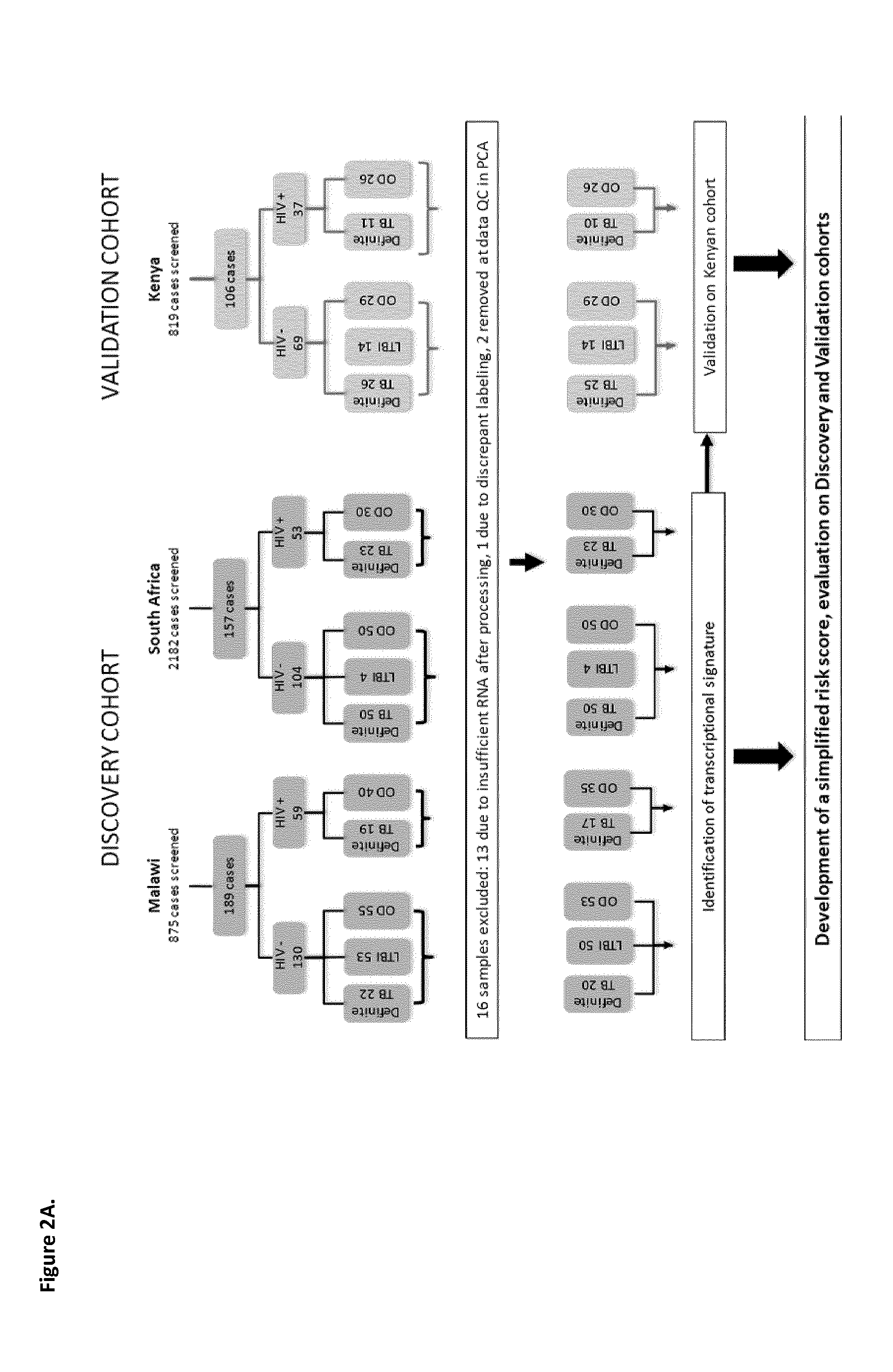 Method of detecting active tuberculosis in children in the presence of a co-morbidity