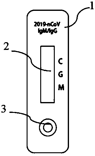 Novel coronavirus detection kit and preparation method and detection method thereof