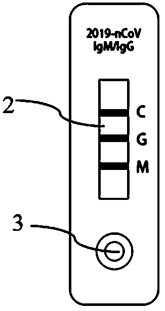 Novel coronavirus detection kit and preparation method and detection method thereof