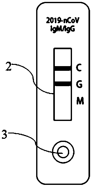 Novel coronavirus detection kit and preparation method and detection method thereof