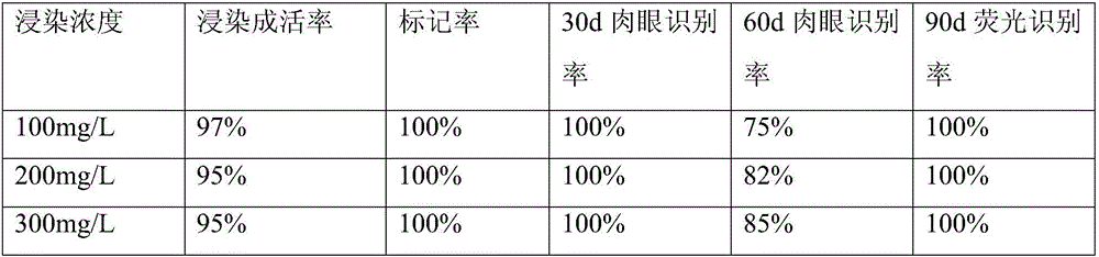 Method for marking larimichthys crocea by using alizarin red