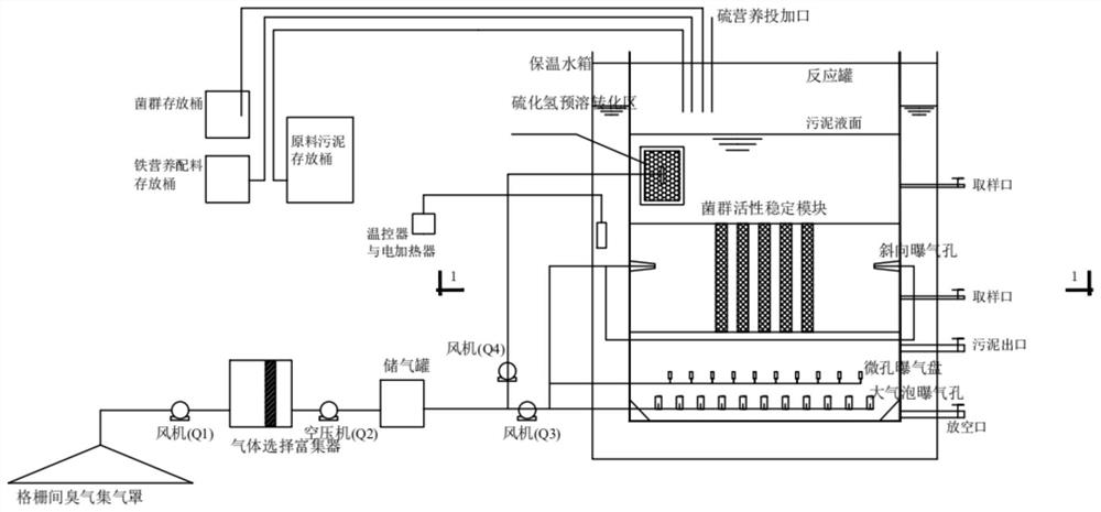 A hydrogen sulfide source synergistic sludge bioleaching reactor