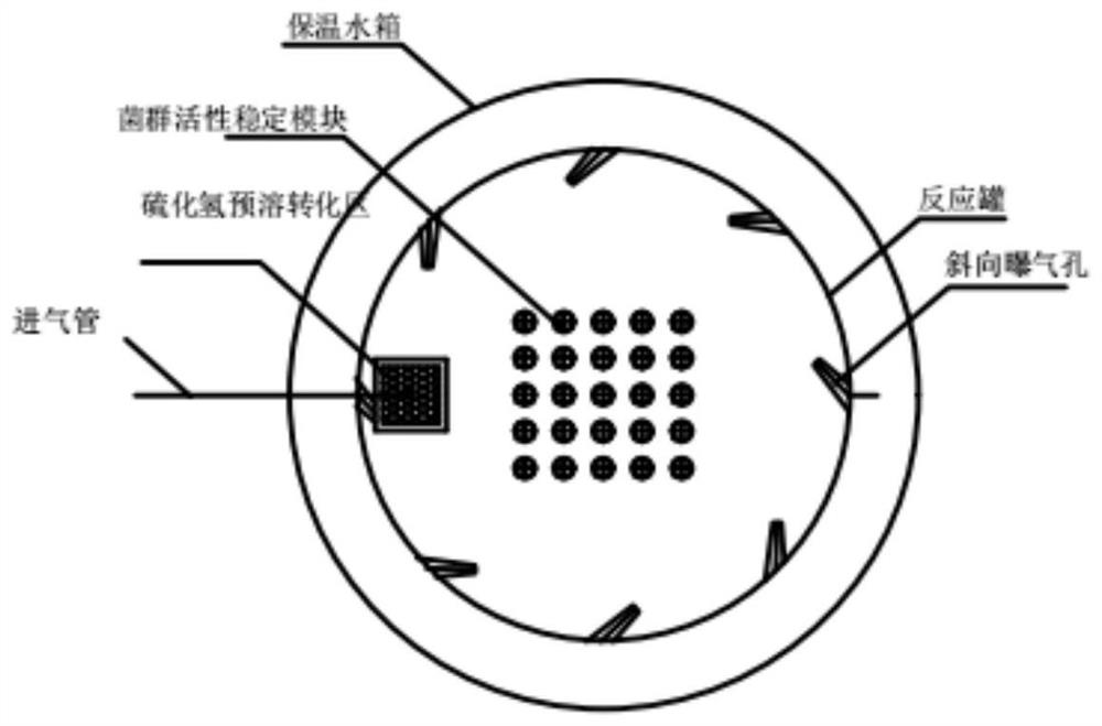 A hydrogen sulfide source synergistic sludge bioleaching reactor