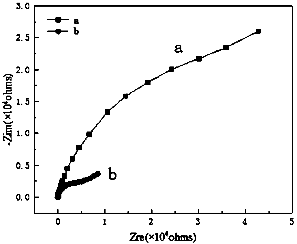 Steel-bar rust inhibitor based on radish extract, and preparation method and application thereof