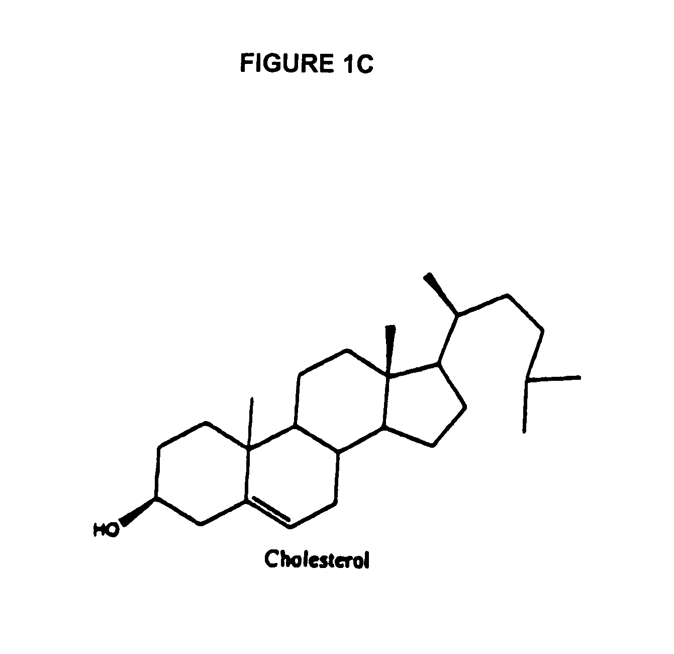 Fluorescence energy transfer probes with stabilized conformations