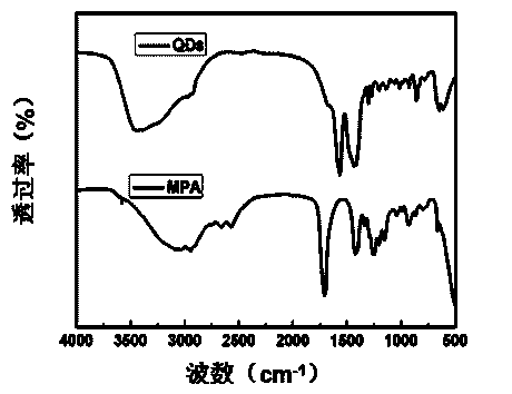 Preparation method for phosphorescent quantum dots Mn-ZnS and application in iron form analysis