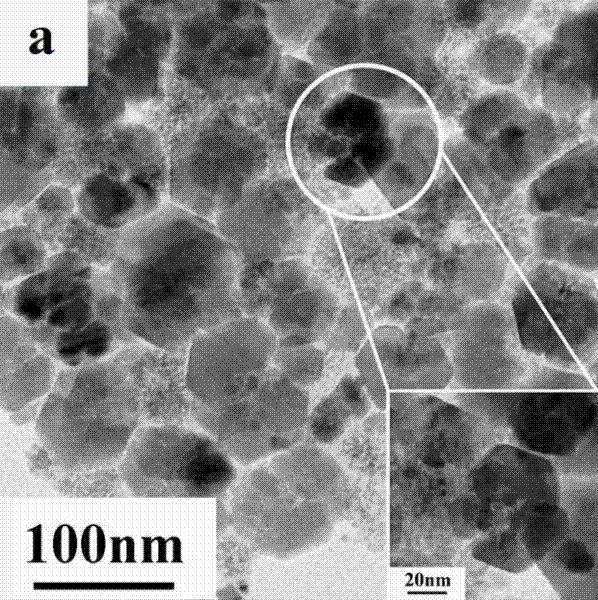 Method for preparing nano silver particles by using plant extract for reduction, and application of method