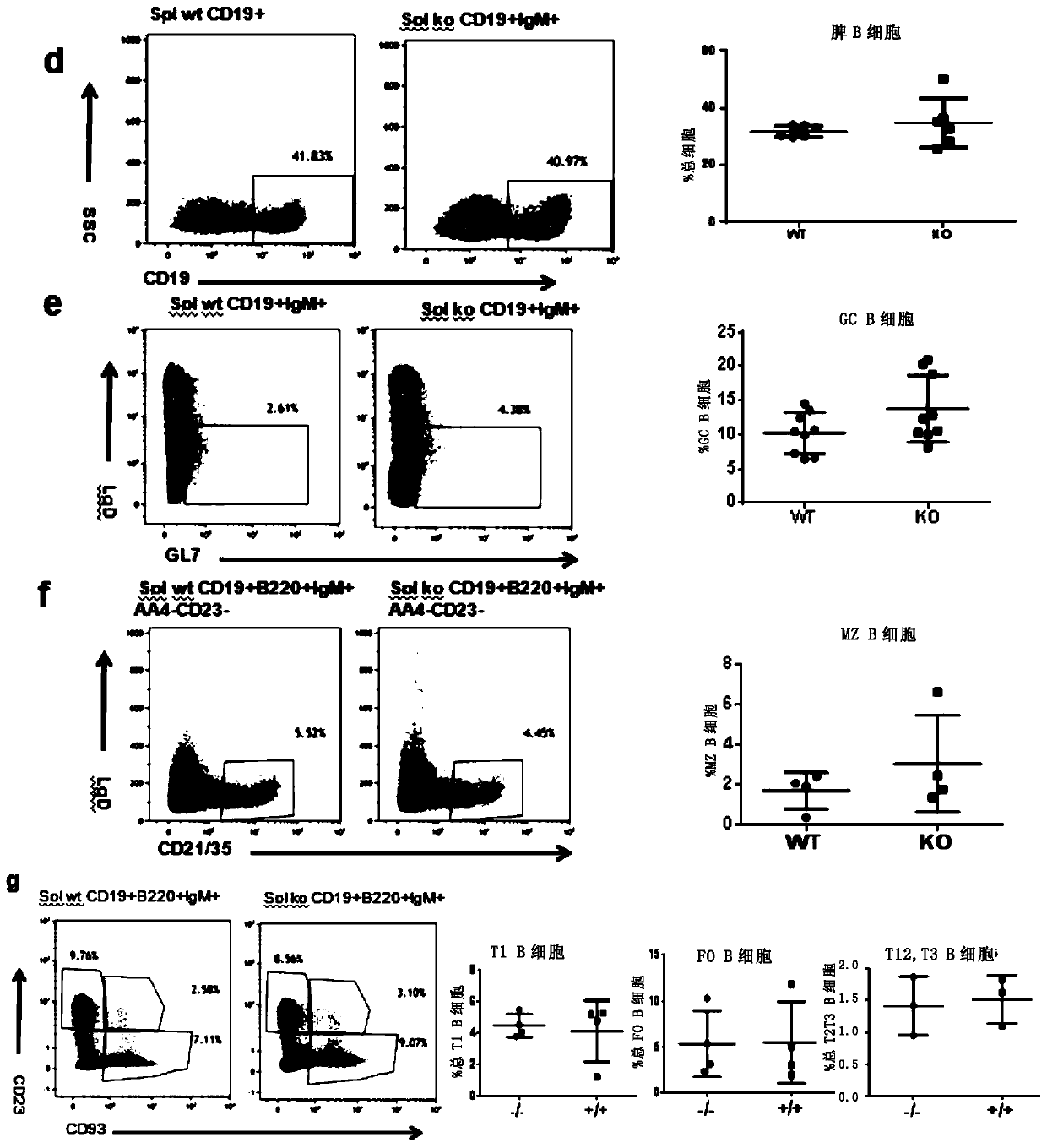 Application of zkscan3 gene or protein inhibitor thereof in tumor therapy