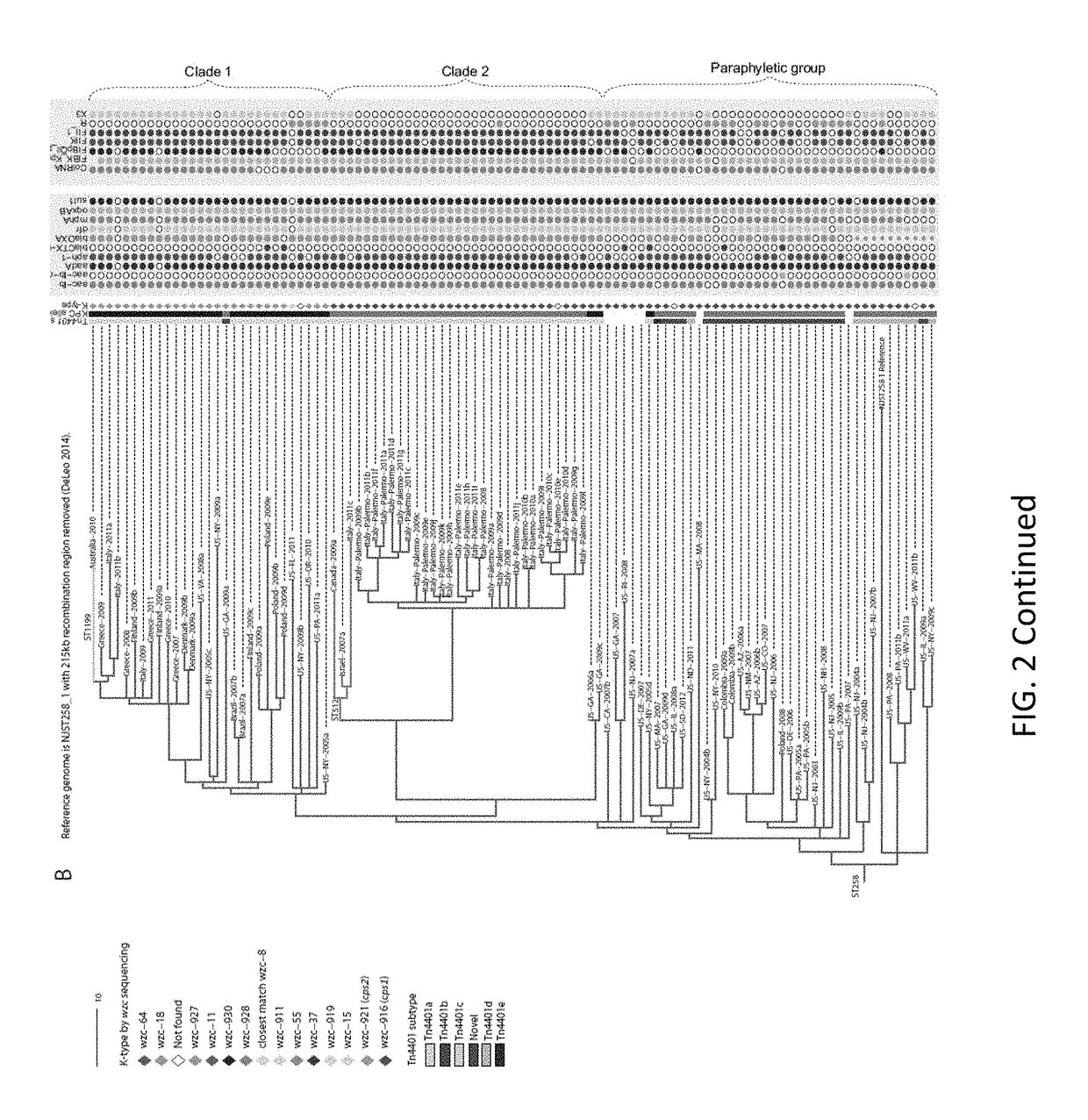 Methods and kits to identify klebsiella strains