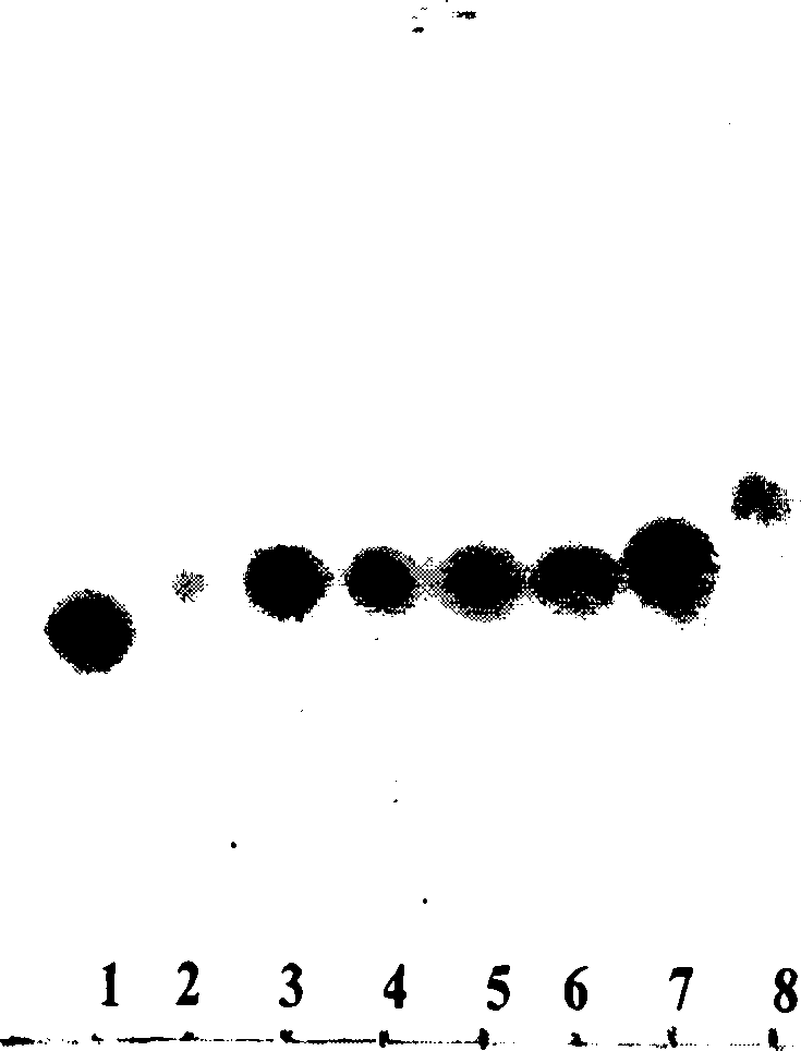 Water-soluble yeast beta-dextran and preparation thereof