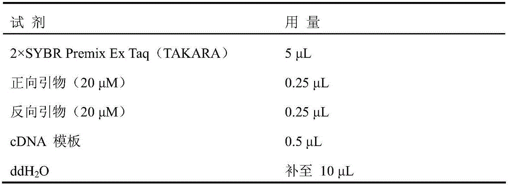 CRK4 protein and application of coded gene thereof in regulating and controlling growth of plant stems and leaves