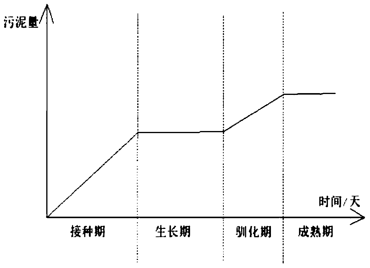 Method for culturing denitrification sludge for treating industrial wastewater by using river bottom sediment