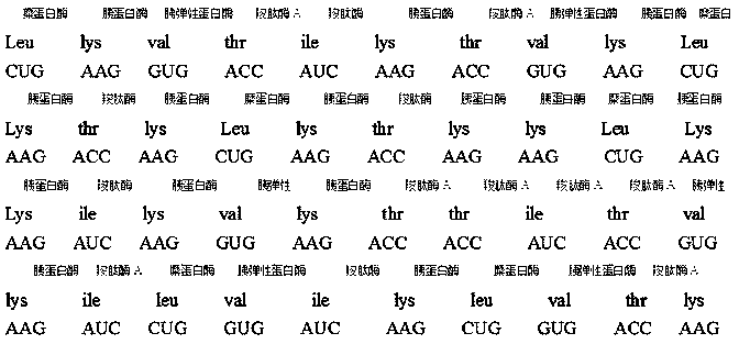 A preparation method of oral recombinant nutritional polypeptide supplementing human essential amino acids