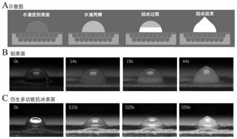 Bionic multifunctional ice-resistant surface and preparation method thereof