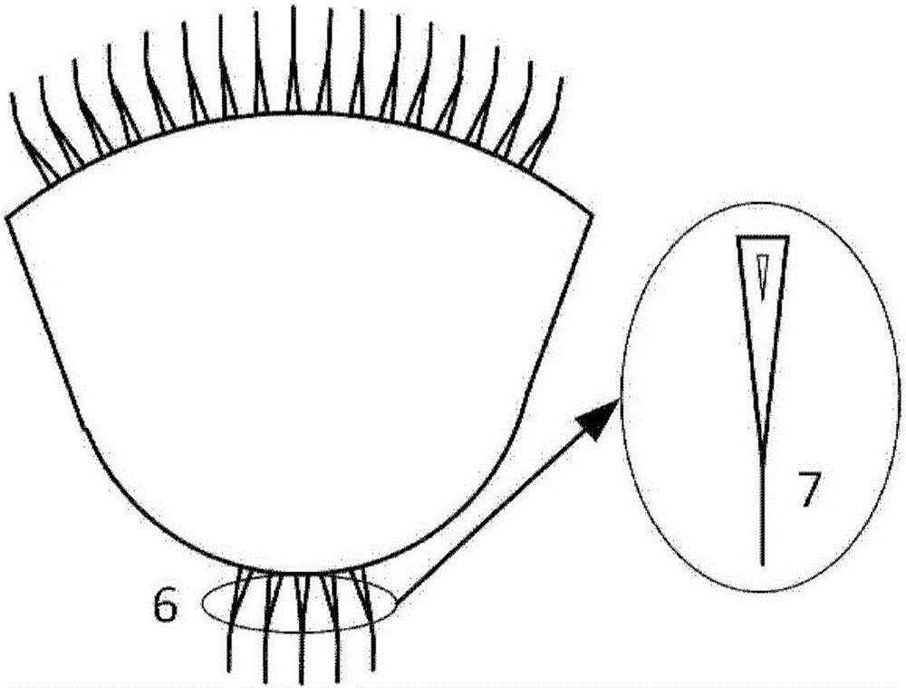 Arrayed waveguide grating spectrum planarization method