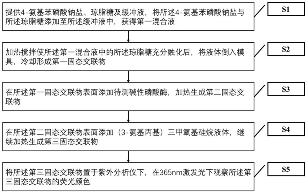 Visual detection method for alkaline phosphatase detection