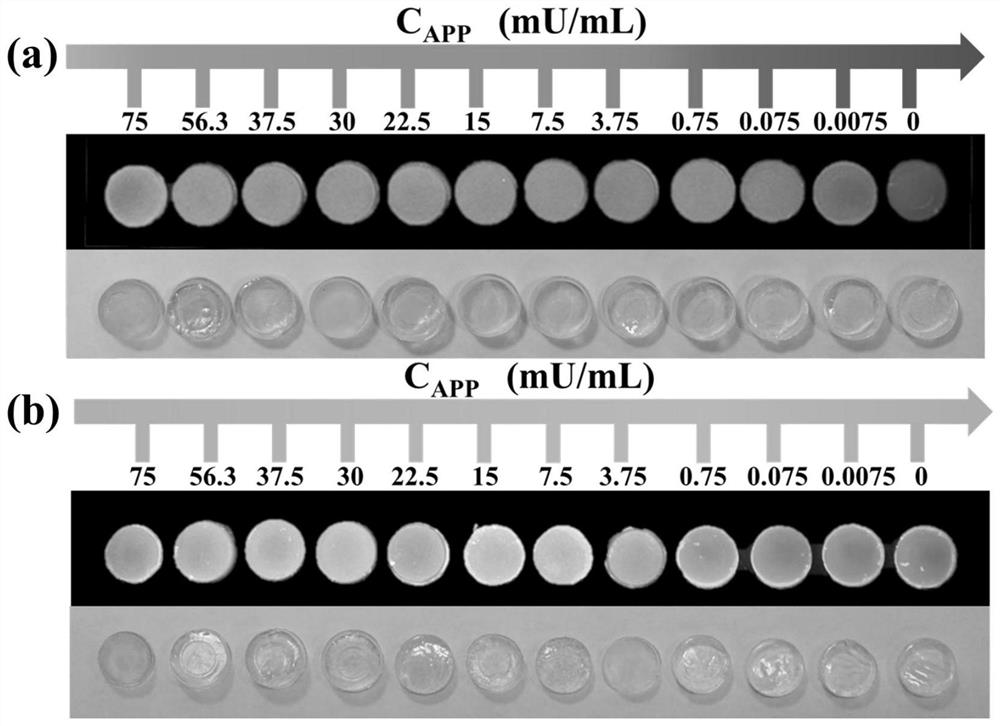 Visual detection method for alkaline phosphatase detection