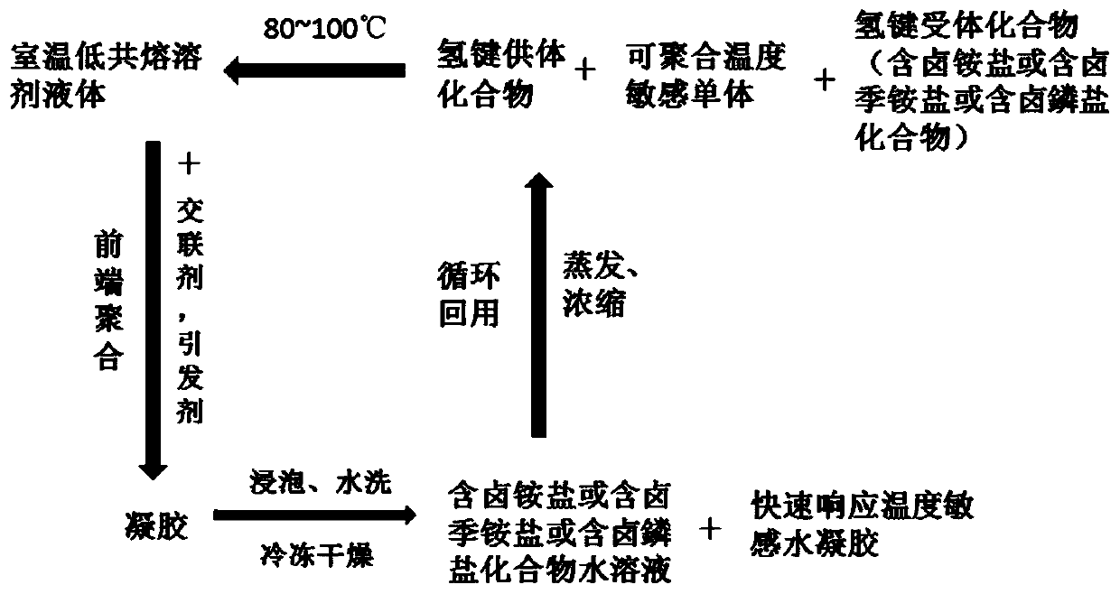 Method for preparing quick-response temperature-sensitive hydrogel by adopting room-temperature eutectic solvent liquid frontal polymerization