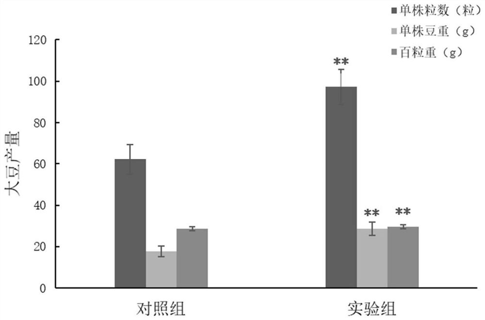 Growth-promoting microbial inoculum capable of increasing soybean oil content and preparation method and application thereof