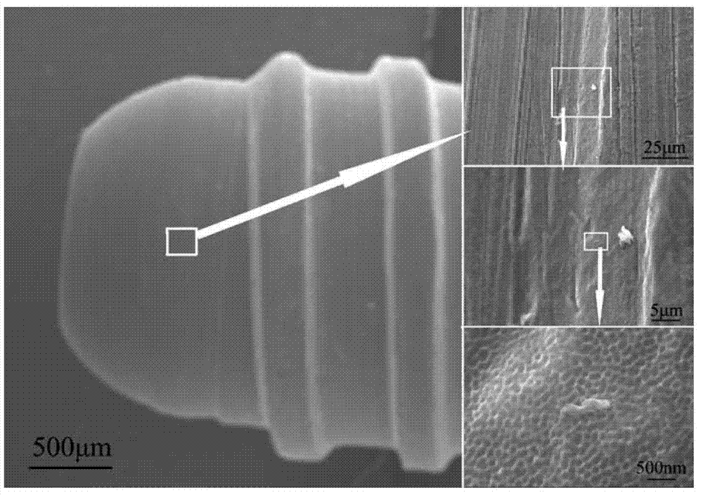 Dental implant and preparation method thereof